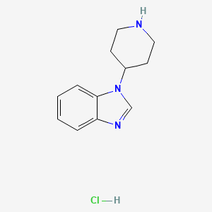 molecular formula C12H16ClN3 B1461979 1-(piperidin-4-yl)-1H-1,3-benzodiazole hydrochloride CAS No. 1187174-05-5