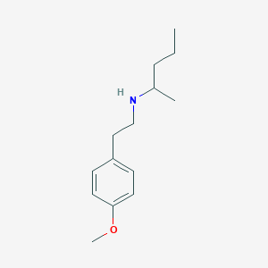 molecular formula C14H23NO B1462018 [2-(4-Methoxyphenyl)ethyl](pentan-2-yl)amine CAS No. 1019508-74-7