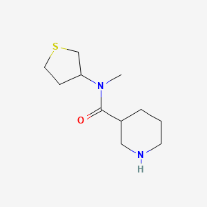 molecular formula C11H20N2OS B1462025 N-methyl-N-(thiolan-3-yl)piperidine-3-carboxamide CAS No. 1096261-97-0