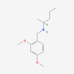 molecular formula C14H23NO2 B1462067 [(2,4-Dimethoxyphenyl)methyl](pentan-2-yl)amine CAS No. 1019618-43-9