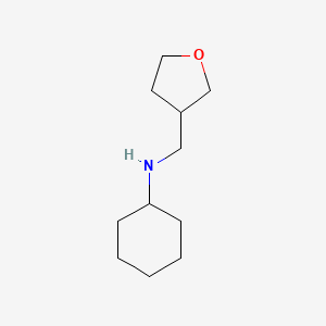 molecular formula C11H21NO B1462092 N-(Tetrahydro-3-furanylmethyl)cyclohexanamine CAS No. 927801-12-5