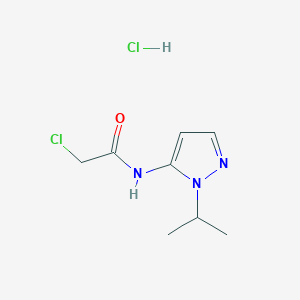 molecular formula C8H13Cl2N3O B1462206 2-chloro-N-(1-isopropyl-1H-pyrazol-5-yl)acetamide hydrochloride CAS No. 1171453-82-9