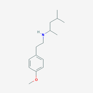 [2-(4-Methoxyphenyl)ethyl](4-methylpentan-2-yl)amine