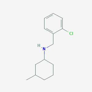 molecular formula C14H20ClN B1462465 N-[(2-chlorophenyl)methyl]-3-methylcyclohexan-1-amine CAS No. 1041583-20-3
