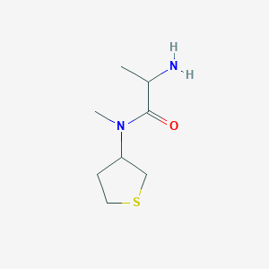 molecular formula C8H16N2OS B1462479 2-amino-N-methyl-N-(thiolan-3-yl)propanamide CAS No. 1218578-95-0