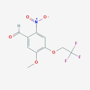 molecular formula C10H8F3NO5 B1462504 5-Methoxy-2-nitro-4-(2,2,2-trifluoroethoxy)benzaldehyde CAS No. 1096827-19-8