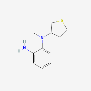 molecular formula C11H16N2S B1462512 N1-methyl-N1-(thiolan-3-yl)benzene-1,2-diamine CAS No. 1095654-25-3