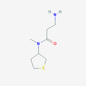 molecular formula C8H16N2OS B1462581 3-氨基-N-甲基-N-(硫代并环丙烷-3-基)丙酰胺 CAS No. 1095531-81-9
