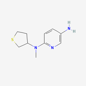 B1462594 N2-methyl-N2-(thiolan-3-yl)pyridine-2,5-diamine CAS No. 1095592-06-5