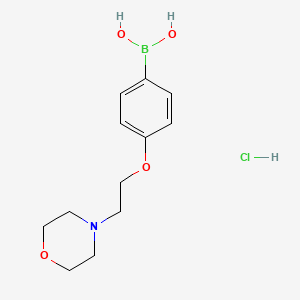 4-(2-Morpholinoethoxy)phenylboronic acid, HCl
