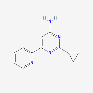 B1463120 2-Cyclopropyl-6-(pyridin-2-yl)pyrimidin-4-amine CAS No. 1159820-21-9