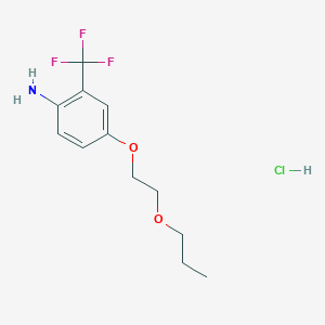 molecular formula C12H17ClF3NO2 B1463644 4-(2-丙氧基乙氧基)-2-(三氟甲基)苯胺盐酸盐 CAS No. 1185297-62-4