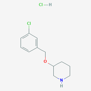 molecular formula C12H17Cl2NO B1463646 3-[(3-氯苄基)氧基]哌啶盐酸盐 CAS No. 1185301-25-0