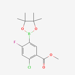 molecular formula C14H17BClFO4 B1463664 Methyl 2-chloro-4-fluoro-5-(4,4,5,5-tetramethyl-1,3,2-dioxaborolan-2-YL)benzoate CAS No. 1073339-13-5