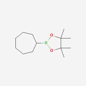 molecular formula C13H25BO2 B1463883 2-环庚基-4,4,5,5-四甲基-1,3,2-二氧杂硼烷 CAS No. 931583-43-6