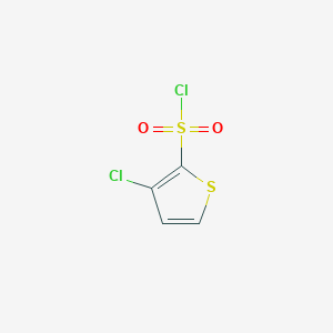 molecular formula C4H2Cl2O2S2 B1463982 3-氯噻吩-2-磺酰氯 CAS No. 633305-21-2