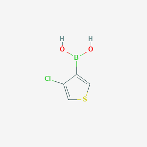 (4-Chlorothiophen-3-YL)boronic acid
