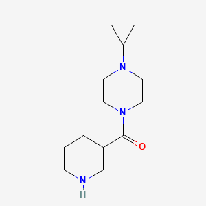 molecular formula C13H23N3O B1464272 1-Cyclopropyl-4-(piperidine-3-carbonyl)piperazine CAS No. 1183989-54-9