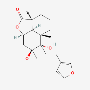 B14643019 Leonotinin CAS No. 55784-80-0