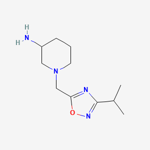 molecular formula C11H20N4O B1464370 1-{[3-(Propan-2-yl)-1,2,4-oxadiazol-5-yl]methyl}piperidin-3-amine CAS No. 1239842-46-6