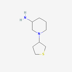 molecular formula C9H18N2S B1464390 1-(Thiolan-3-yl)piperidin-3-amin CAS No. 1250198-78-7