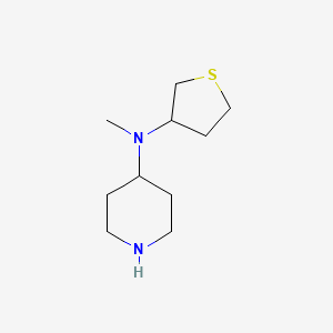 N-methyl-N-(thiolan-3-yl)piperidin-4-amine