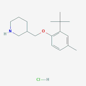 molecular formula C17H28ClNO B1464759 3-{[2-(叔丁基)-4-甲基苯氧基]-甲基}哌啶盐酸盐 CAS No. 1219972-37-8