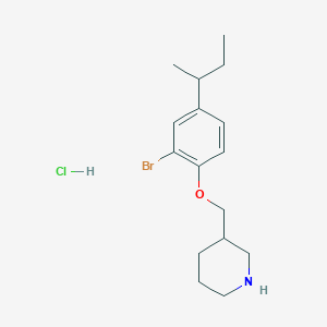 molecular formula C16H25BrClNO B1464761 3-{[2-Bromo-4-(sec-butyl)phenoxy]-methyl}piperidine hydrochloride CAS No. 1220018-61-0