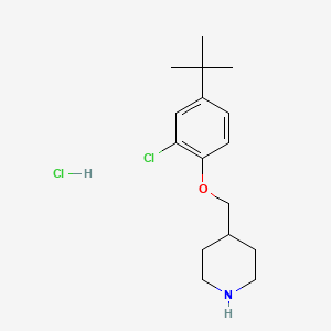 4-{[4-(Tert-butyl)-2-chlorophenoxy]-methyl}piperidine hydrochloride