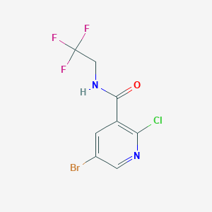 molecular formula C8H5BrClF3N2O B1464924 5-Bromo-2-chloro-N-(2,2,2-trifluoroethyl)-nicotinamide CAS No. 1247543-07-2