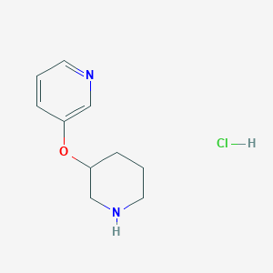 molecular formula C10H15ClN2O B1465025 3-(3-吡啶氧基)哌啶盐酸盐 CAS No. 1220034-50-3