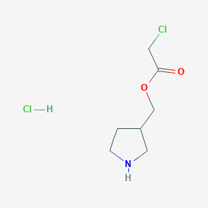 molecular formula C7H13Cl2NO2 B1465026 3-吡咯烷基甲基 2-氯乙酸盐酸盐 CAS No. 1219979-36-8