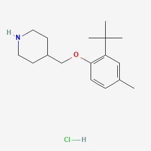 molecular formula C17H28ClNO B1465028 4-{[2-(Tert-butyl)-4-methylphenoxy]-methyl}piperidine hydrochloride CAS No. 1220036-11-2