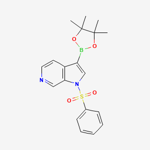 molecular formula C19H21BN2O4S B1465287 1-(Phenylsulfonyl)-3-(4,4,5,5-tetramethyl-1,3,2-dioxaborolan-2-yl)-1H-pyrrolo[2,3-c]pyridine CAS No. 1174038-65-3