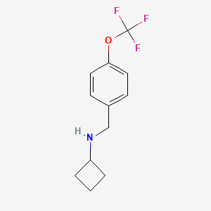 molecular formula C12H14F3NO B1465515 N-{[4-(trifluoromethoxy)phenyl]methyl}cyclobutanamine CAS No. 1275544-72-3