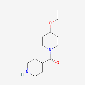 molecular formula C13H24N2O2 B1465708 (4-Ethoxypiperidin-1-yl)(piperidin-4-yl)methanone CAS No. 1307282-44-5