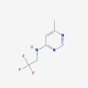 molecular formula C7H8F3N3 B1465724 6-methyl-N-(2,2,2-trifluoroethyl)pyrimidin-4-amine CAS No. 1248277-37-3