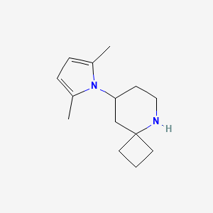 molecular formula C14H22N2 B1465739 8-(2,5-Dimethyl-pyrrol-1-yl)-5-aza-spiro[3.5]nonane CAS No. 1247220-15-0