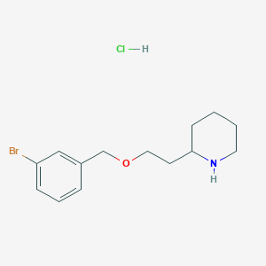 molecular formula C14H21BrClNO B1465864 2-{2-[(3-Bromobenzyl)oxy]ethyl}piperidine hydrochloride CAS No. 1220016-25-0