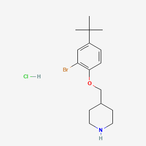 molecular formula C16H25BrClNO B1465936 2-溴-4-(叔丁基)苯基 4-哌啶基甲基醚盐酸盐 CAS No. 1219967-81-3