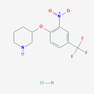 molecular formula C12H14ClF3N2O3 B1465948 3-[2-Nitro-4-(trifluoromethyl)phenoxy]piperidine hydrochloride CAS No. 1219957-04-6