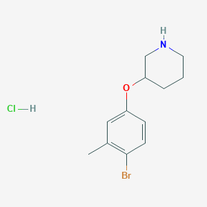 molecular formula C12H17BrClNO B1465953 3-(4-Bromo-3-methylphenoxy)piperidine hydrochloride CAS No. 1219967-99-3