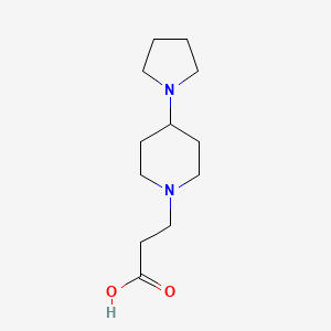 molecular formula C12H22N2O2 B1466289 3-[4-(Pyrrolidin-1-yl)piperidin-1-yl]propanoic acid CAS No. 1356056-34-2