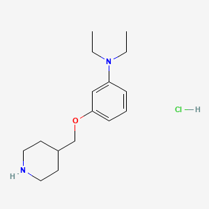 molecular formula C16H27ClN2O B1466296 N,N-Diethyl-3-(4-piperidinylmethoxy)aniline hydrochloride CAS No. 1219972-34-5