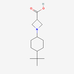 molecular formula C14H25NO2 B1466361 1-(4-(Tert-butyl)cyclohexyl)azetidine-3-carboxylic acid CAS No. 1127402-31-6