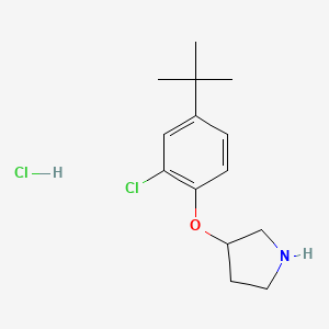 molecular formula C14H21Cl2NO B1466420 3-[4-(tert-Butyl)-2-chlorophenoxy]pyrrolidine hydrochloride CAS No. 1220035-98-2
