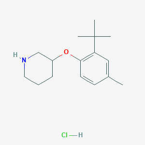 molecular formula C16H26ClNO B1466431 3-[2-(tert-Butyl)-4-methylphenoxy]piperidine hydrochloride CAS No. 1220020-59-6