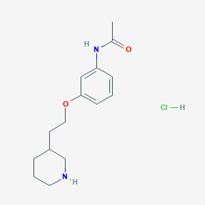 molecular formula C15H23ClN2O2 B1466440 N-{3-[2-(3-Piperidinyl)ethoxy]phenyl}acetamide hydrochloride CAS No. 1220037-30-8