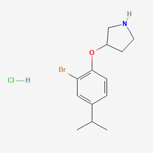 molecular formula C13H19BrClNO B1466442 3-(2-Bromo-4-isopropylphenoxy)pyrrolidine hydrochloride CAS No. 1220032-76-7