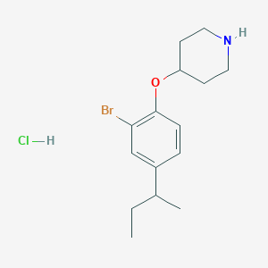4-[2-Bromo-4-(sec-butyl)phenoxy]piperidine hydrochloride